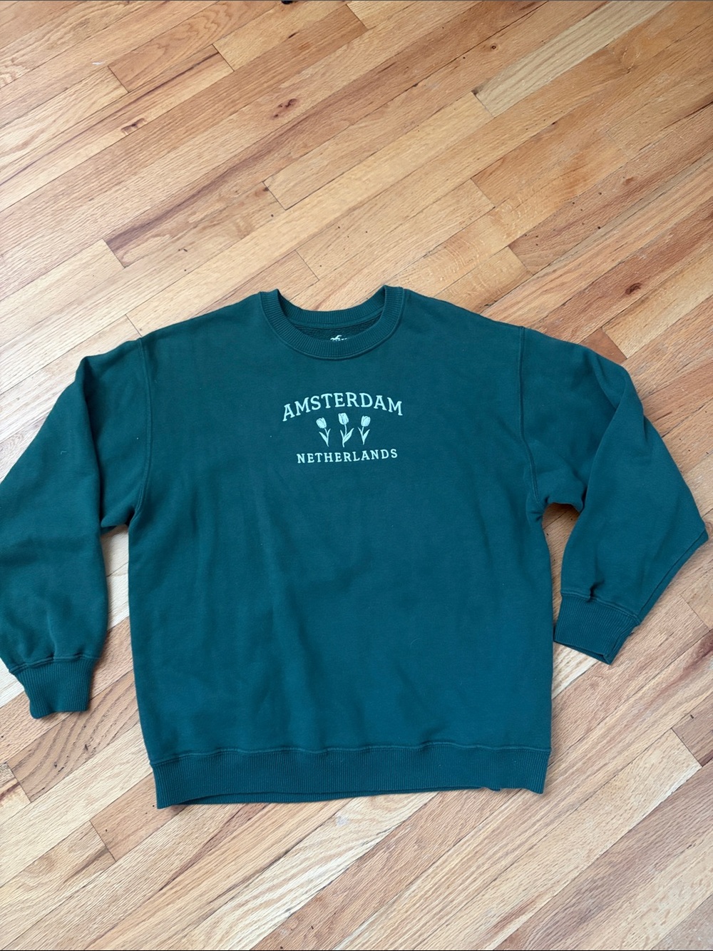 Hollister Amaterdam Netherlands crewneck sweatershirt spruce green womens small